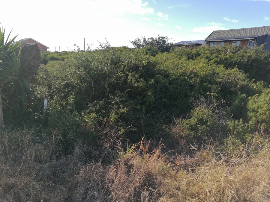 0 Bedroom Property for Sale in Cannonville Eastern Cape